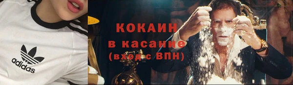 гидра Алексин