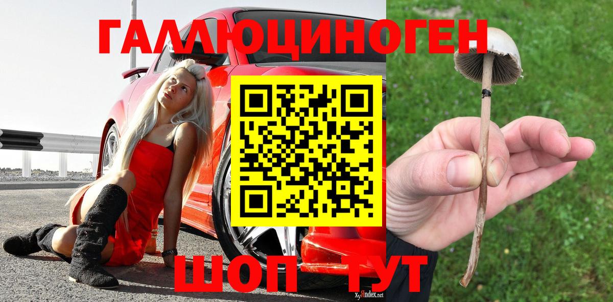 Псилоцибиновые грибы MAGIC MUSHROOMS  Псилоцибиновые грибы MAGIC MUSHROOMS  Вологда  Вход с VPN 