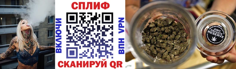 где можно купить наркотик  Вологда  Каннабис индика 